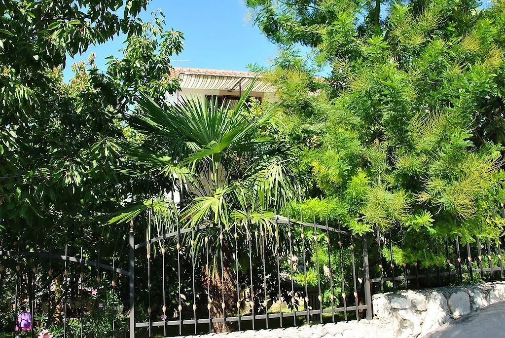 Apartment Zvonar Donji Okrug