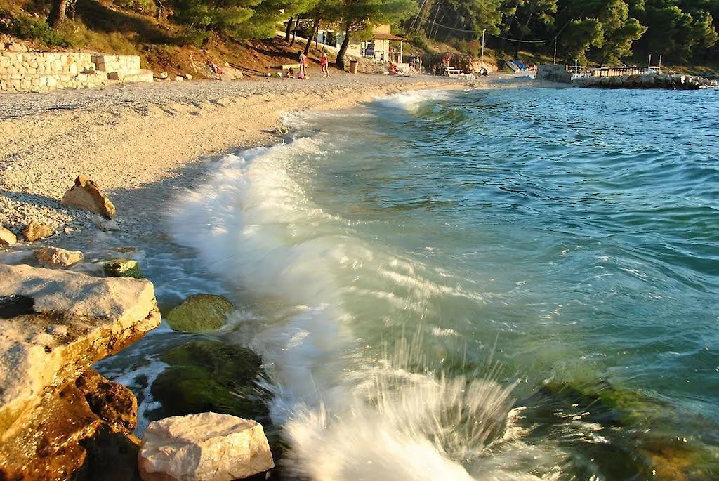Apartment Zvonar Donji Okrug  Croatia